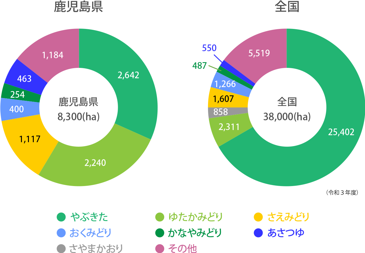 緑茶品種鹿児島県と全国比較グラフ